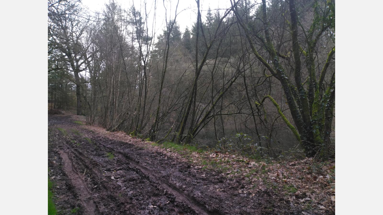 Mare de la Ville Hubaud  avant travaux