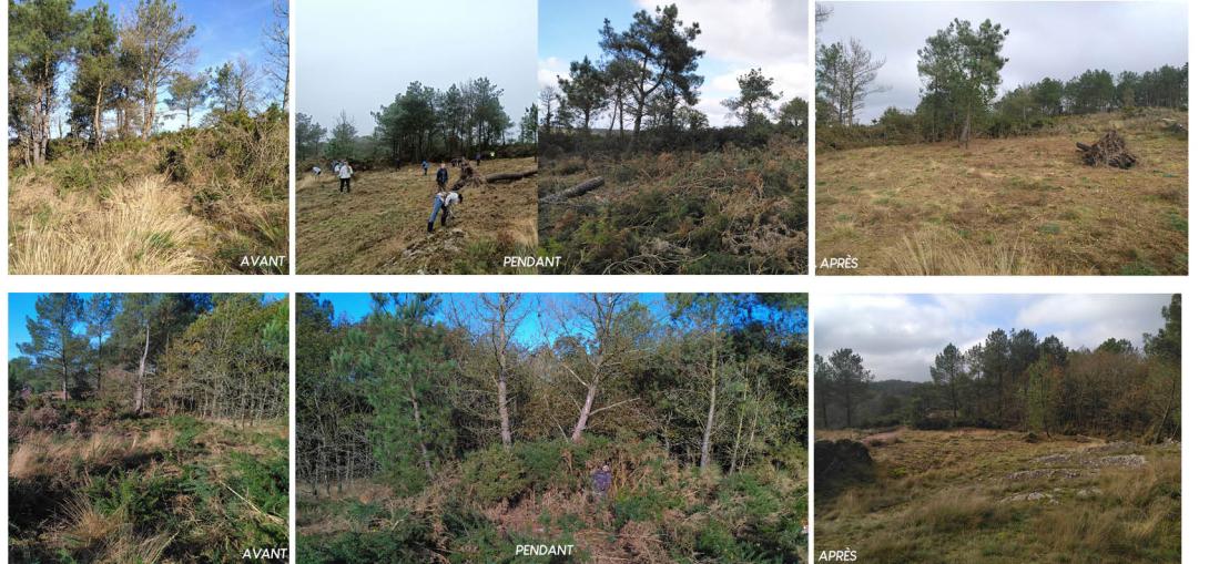 Fauche landes Octobre 2024 Val sans retour
